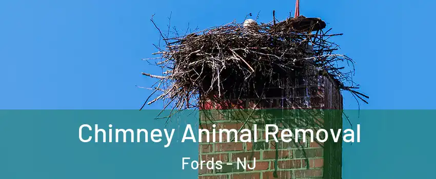  Chimney Animal Removal Fords - NJ