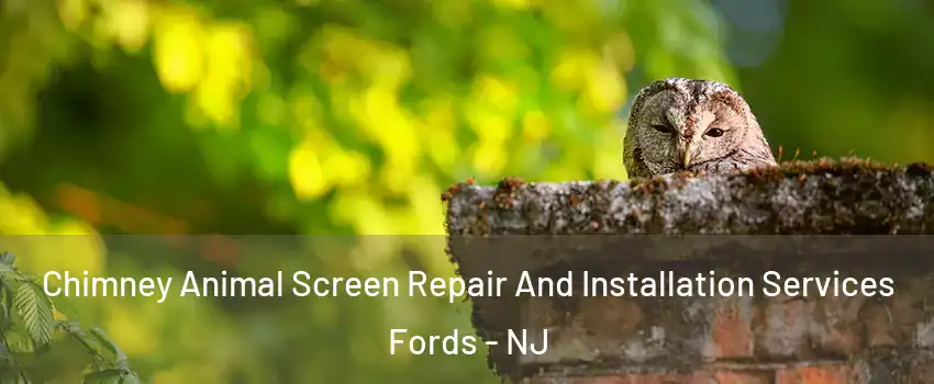  Chimney Animal Screen Repair And Installation Services Fords - NJ