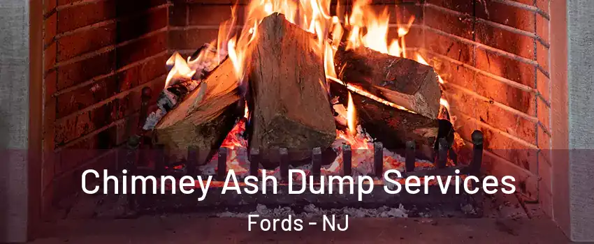  Chimney Ash Dump Services Fords - NJ