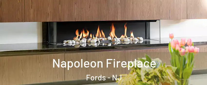  Napoleon Fireplace Fords - NJ